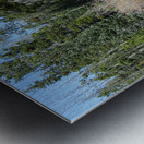 Upper Provo River Metal print