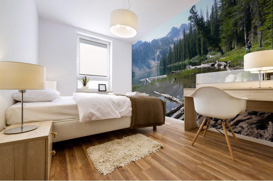 Sawtooth Lake Mural print