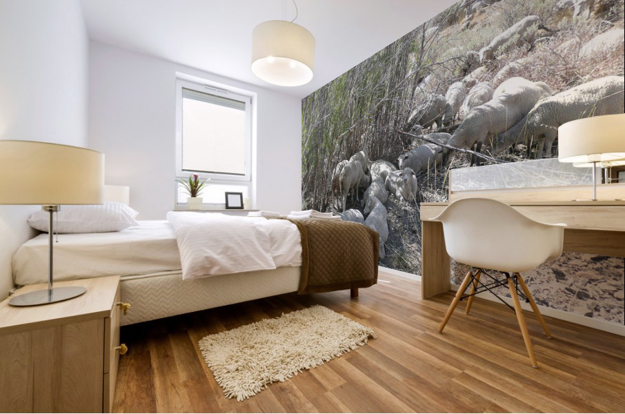 Sheep Huddle Mural print