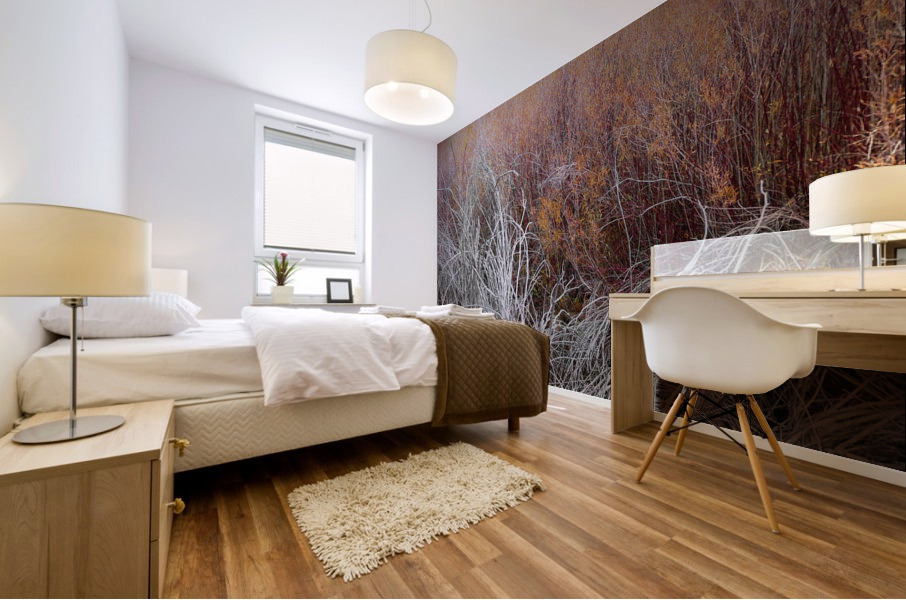 Willows Mural print