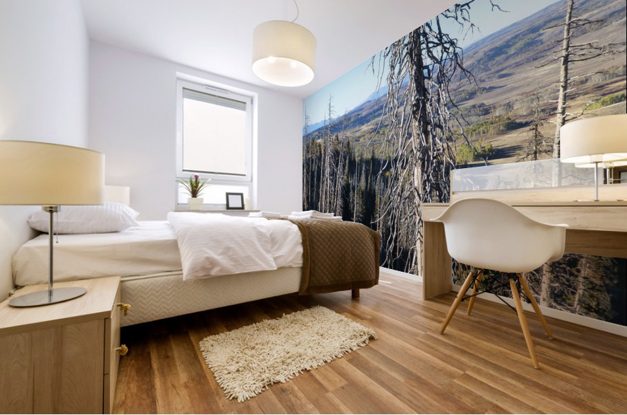 Gnarled Pine Overlook Mural print