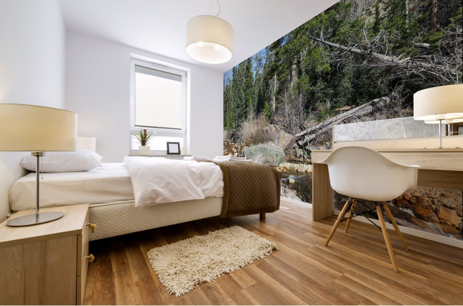 Upper Provo River Mural print
