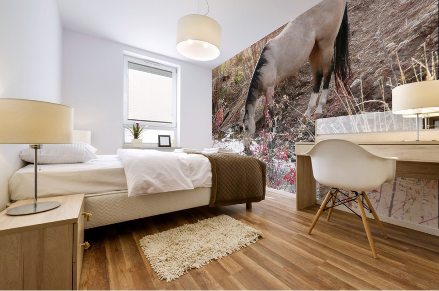 Horse Drink Mural print