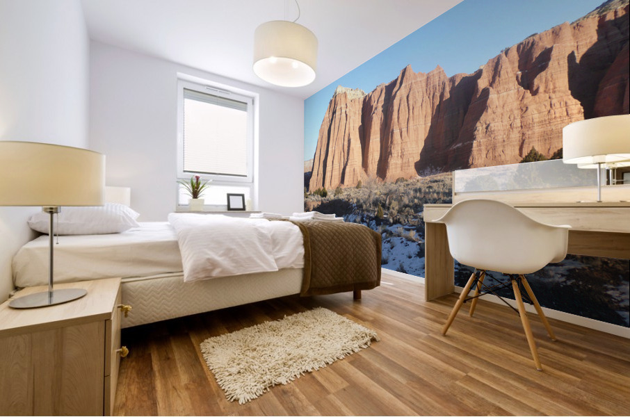Lighted Cathedral Mural print