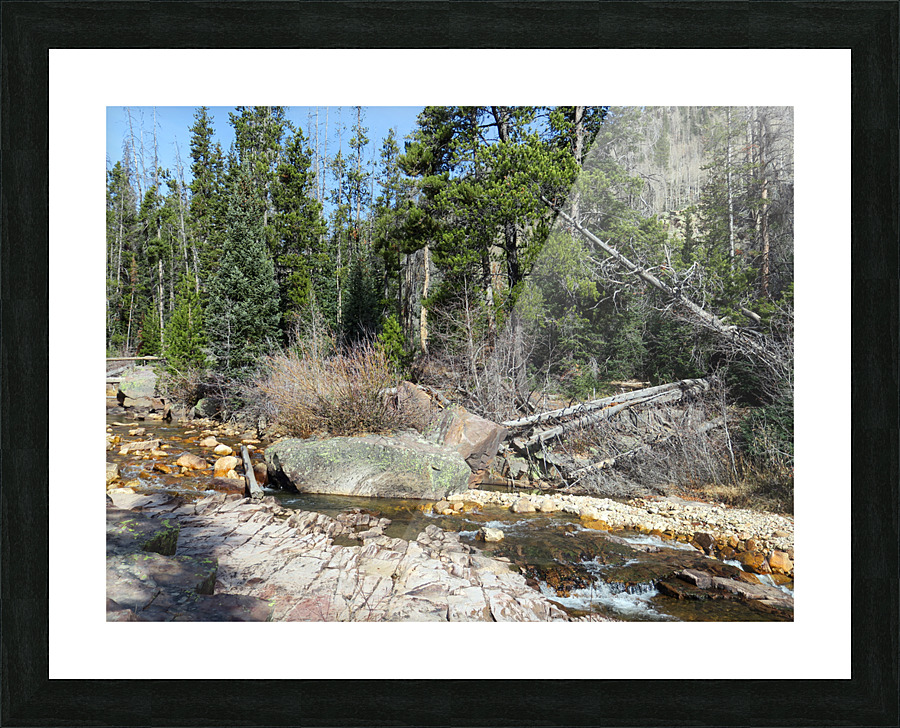 Upper Provo River Picture Frame print