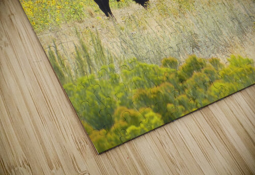 Buffalo Sunflowers Brian Shaw puzzle