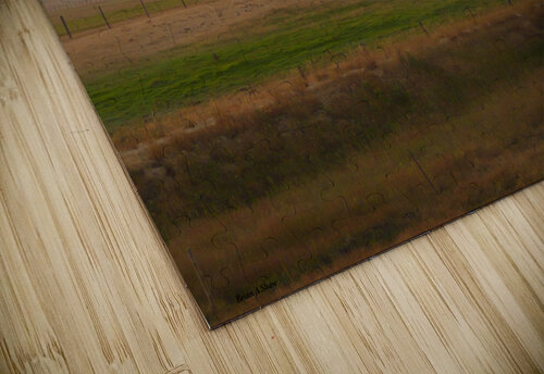 Old Idaho Barn Brian Shaw puzzle