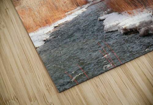Diamond Fork River Brian Shaw puzzle