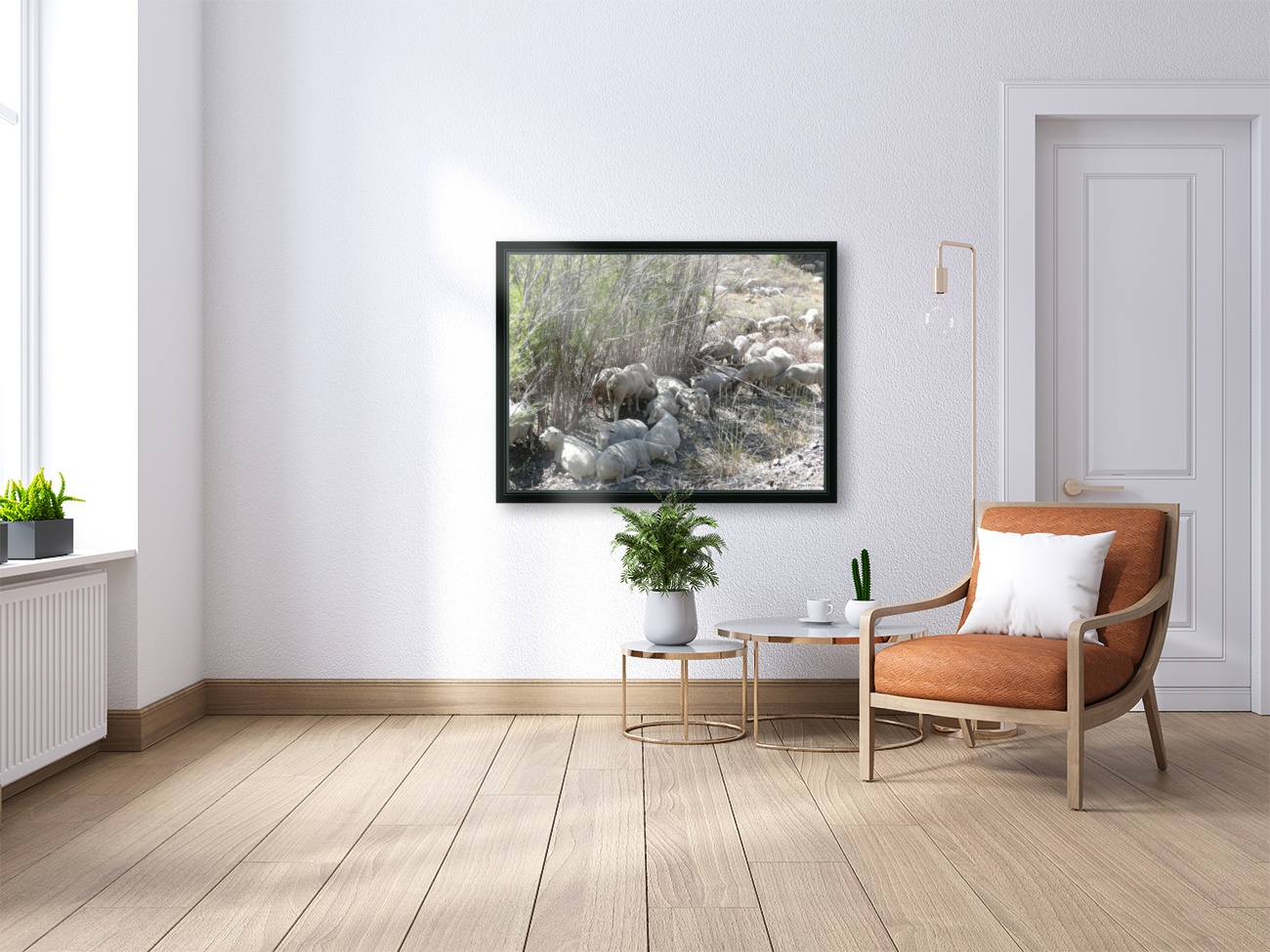 Sheep Huddle Reproduction