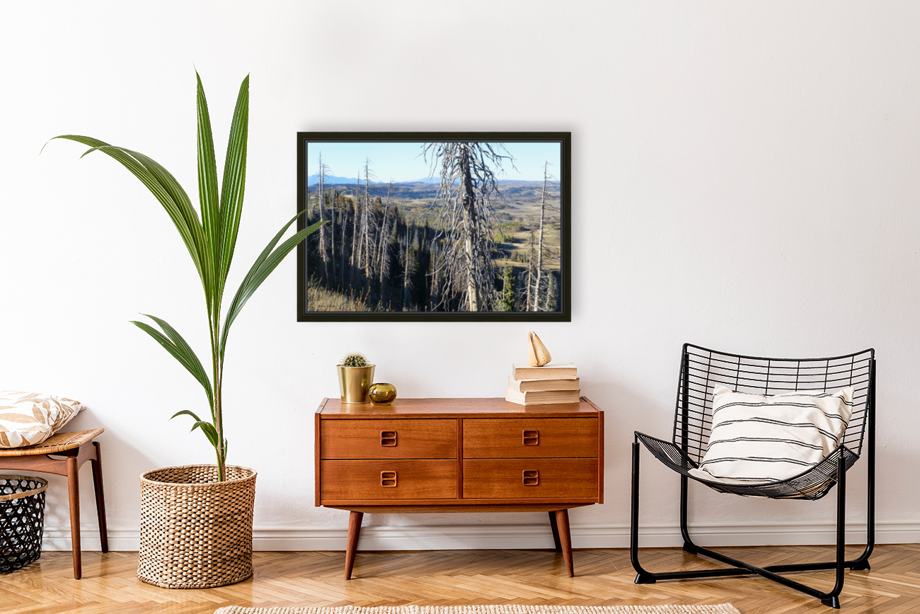 Gnarled Pine Overlook Reproduction