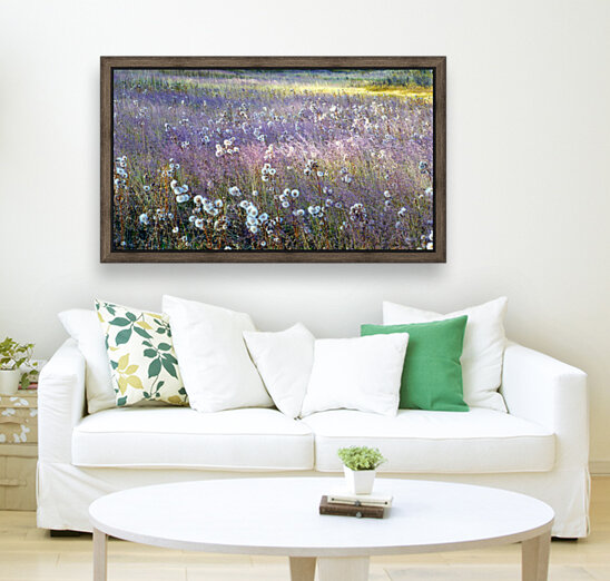 Dream Field Reproduction