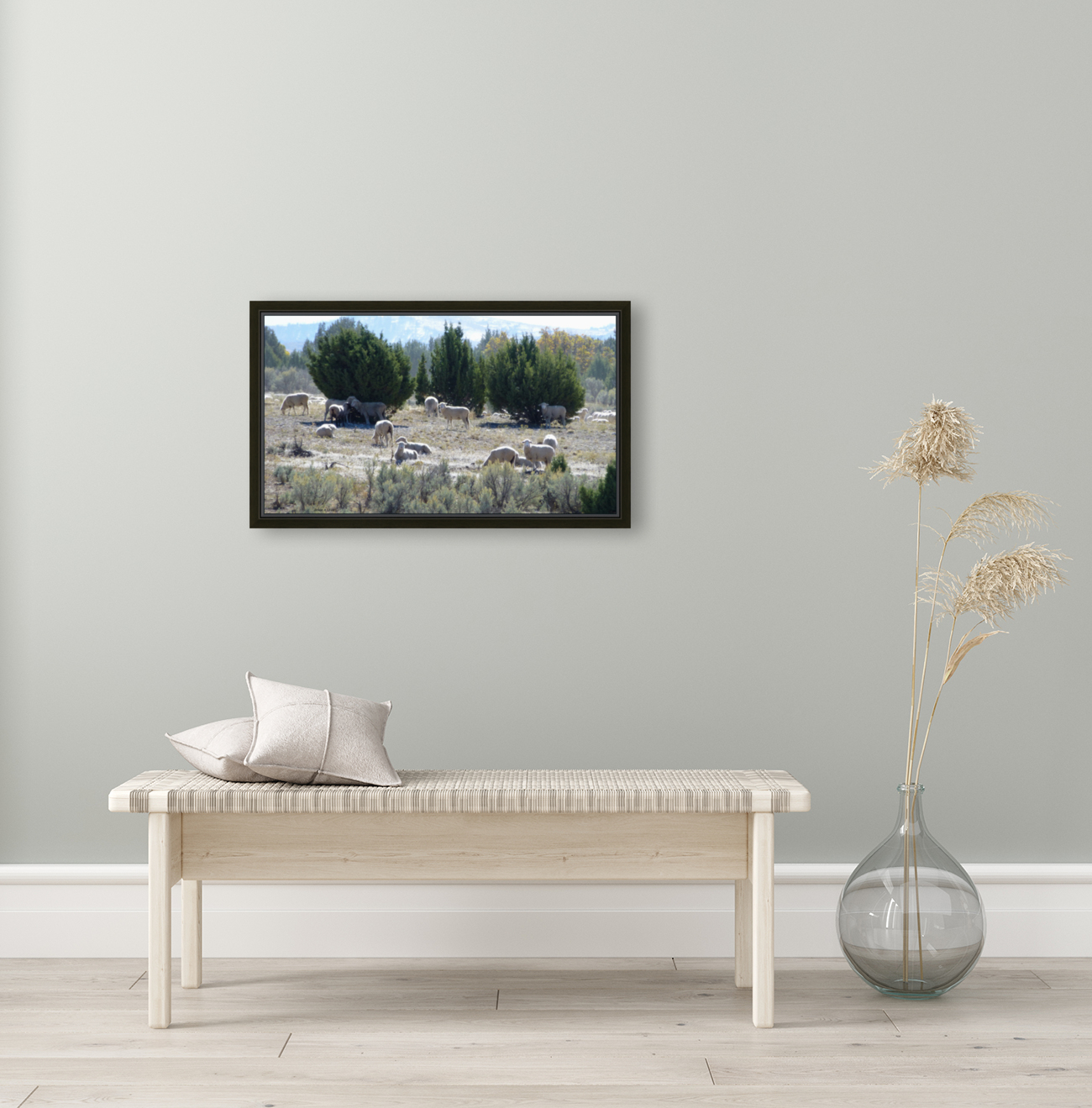 Sheep Juniper Reproduction