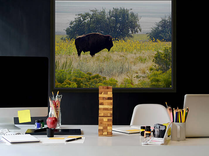 Buffalo Sunflowers by Brian Shaw
