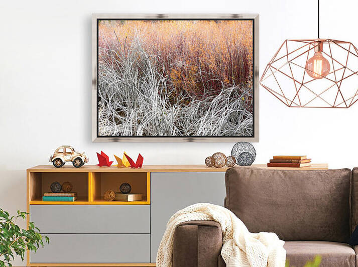 Willows Reproduction