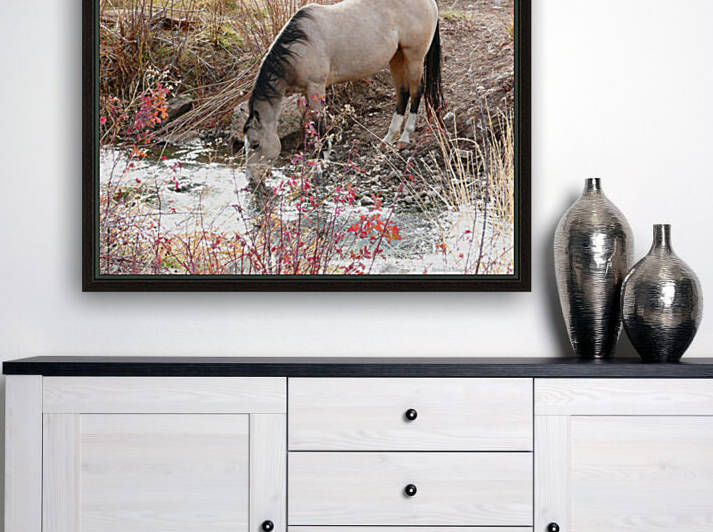 Horse Drink by Brian Shaw