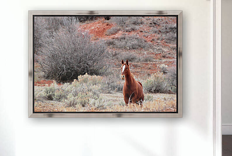 Star Horse in Red Clay by Brian Shaw