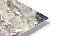 Sheep Huddle HD Metal print