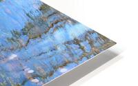 Dragonfly on the Madison HD Metal print