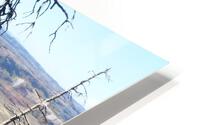 Gnarled Pine Overlook HD Metal print