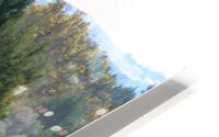 Sheep Juniper HD Metal print