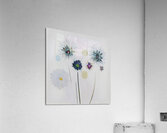 Pikkasso Art - Ultramodern art from top artists 19 Acrylic Print