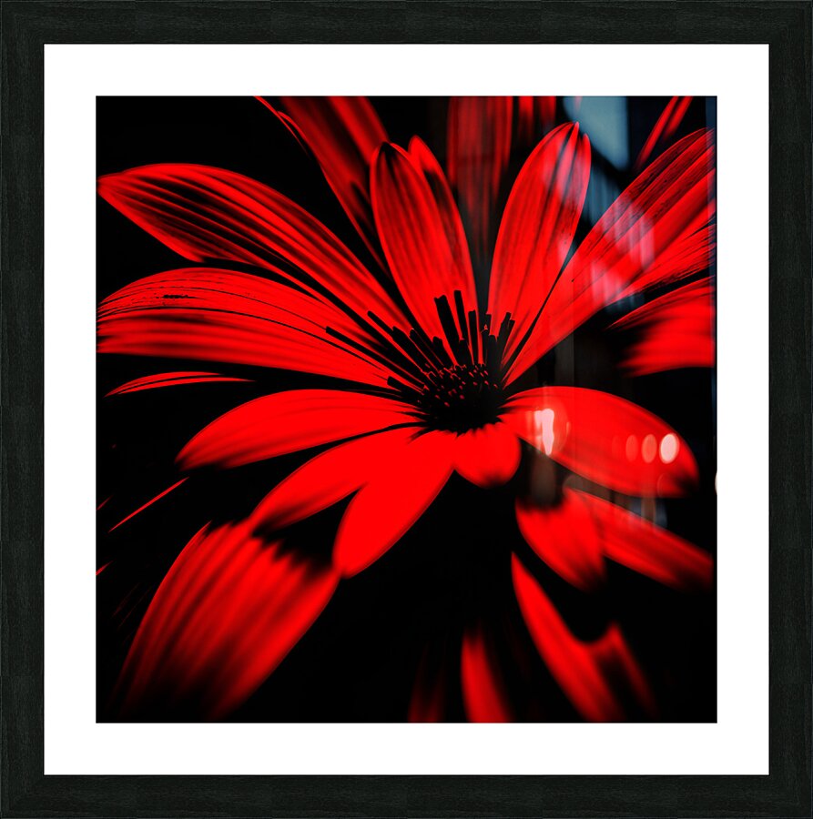  Fine Art print