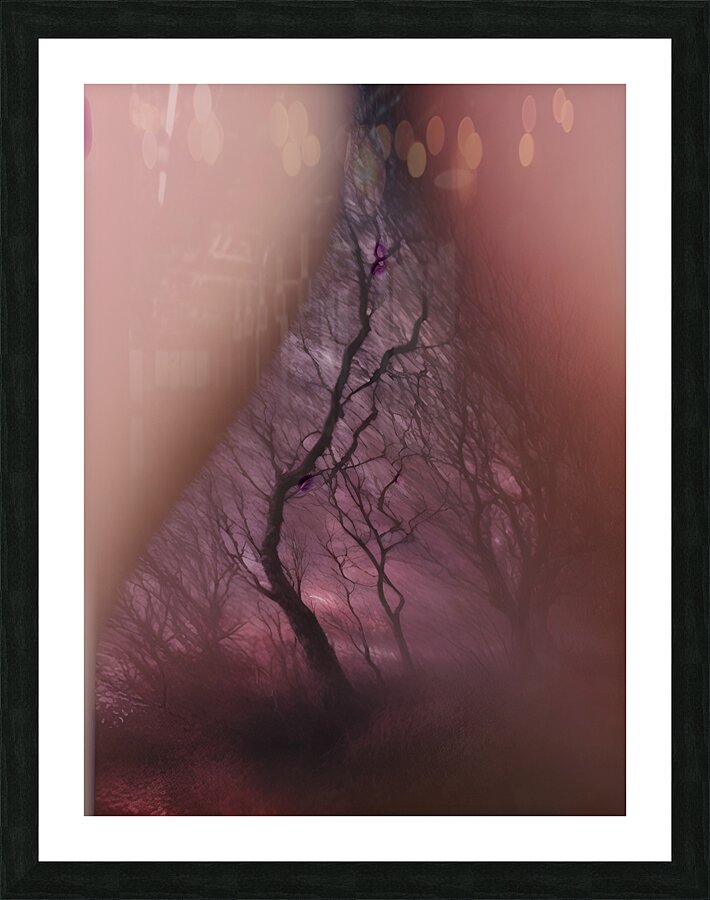  Fine Art print
