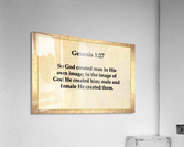 Genesis 1 27 Acrylic Print