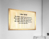 John 10 10 Acrylic Print