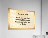 Proverbs 14 12 Acrylic Print