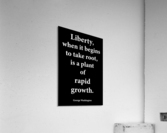 Liberty 2 Acrylic Print
