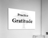 Practice Gratitude Acrylic Print