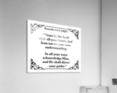 Proverbs 3 5 6 Acrylic Print