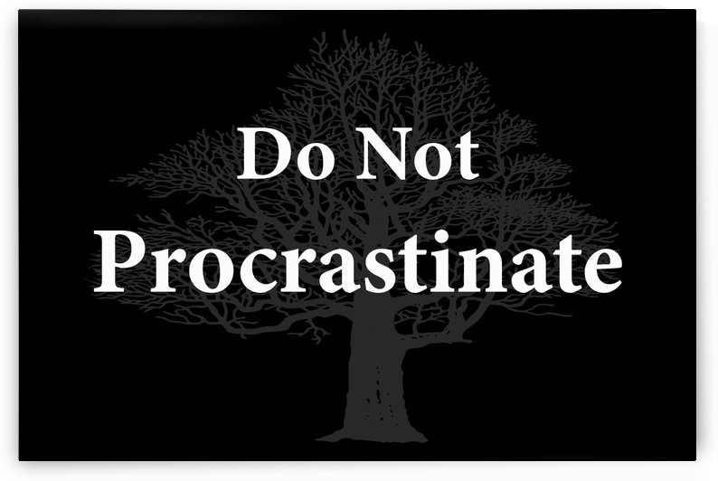 Do Not Procrastinate 2 by Scripture on the Walls
