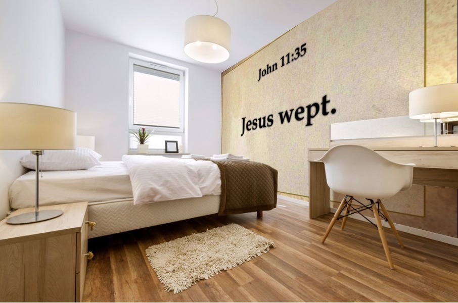  John 11 35 Mural print