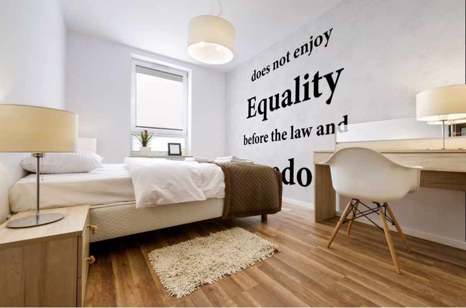 Individual Equality and Freedom Mural print