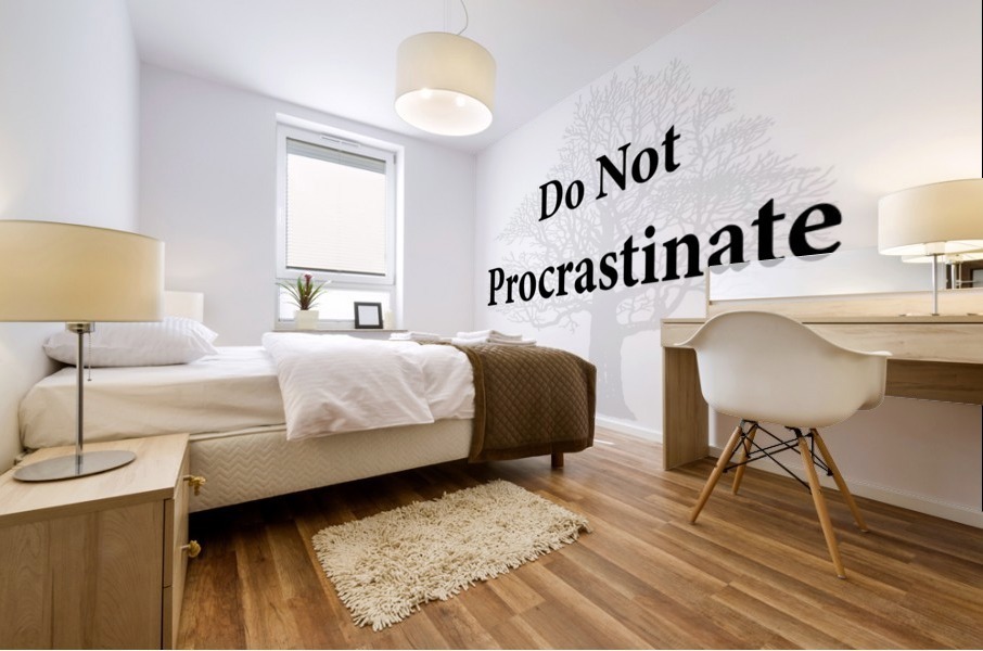 Do Not Procrastinate Mural print