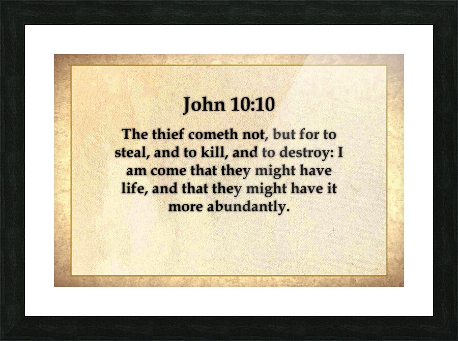 John 10 10 Picture Frame print