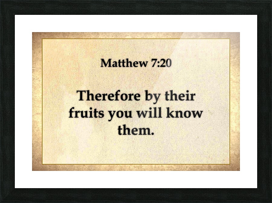 Matthew 7 20 Picture Frame print