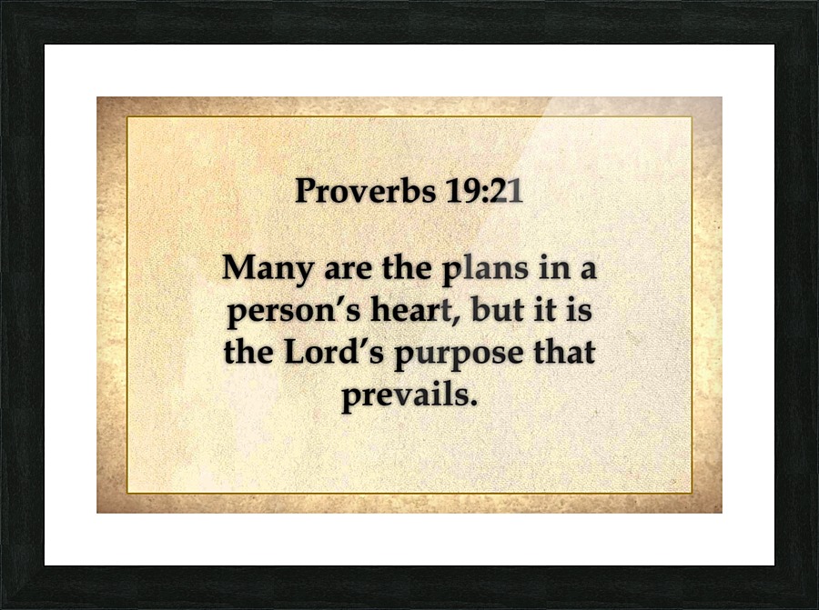Proverbs 19 21 Picture Frame print