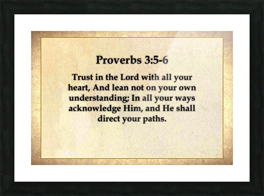 Proverbs 3 5 6 Picture Frame print