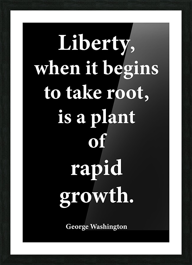 Liberty 2 Picture Frame print