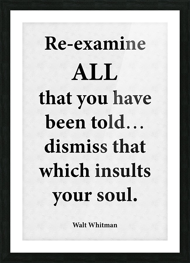 Re examine Picture Frame print
