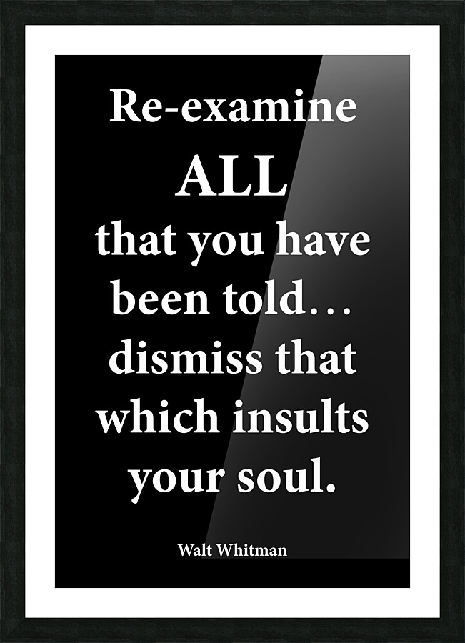 Re examine 2 Picture Frame print