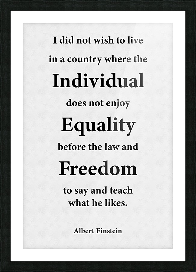 Individual Equality and Freedom Picture Frame print