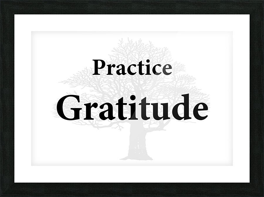 Practice Gratitude Picture Frame print