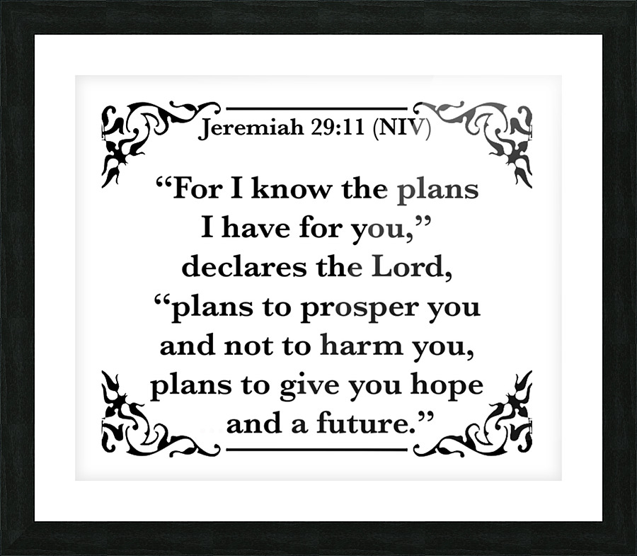 Jeremiah 29 11 Picture Frame print