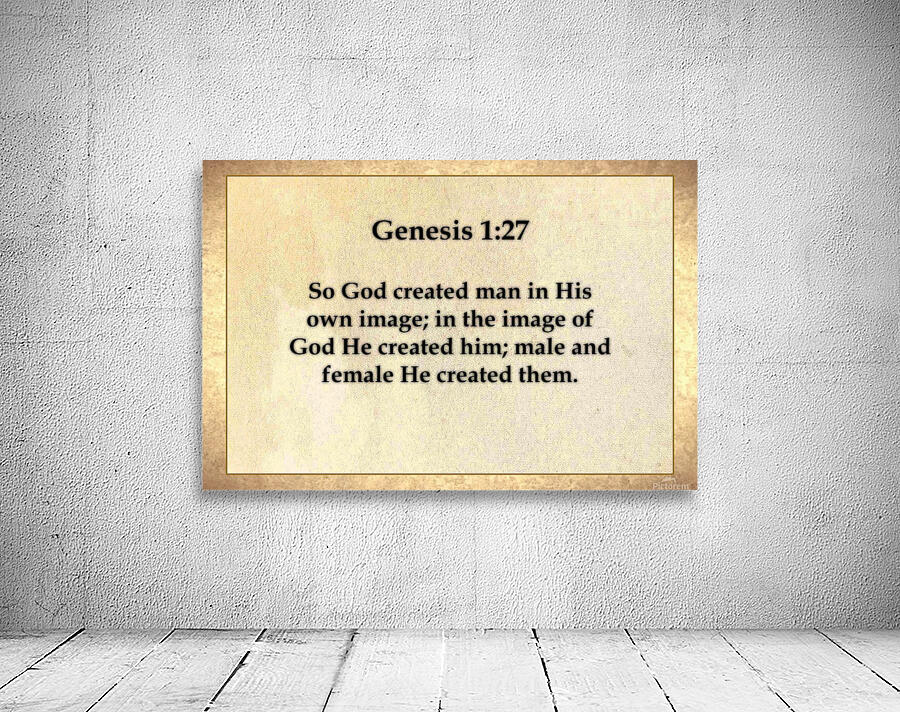 Genesis 1 27 Wall Preview