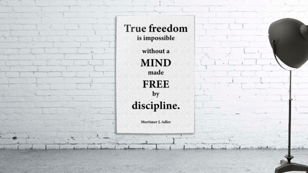 True Freedom Wall Preview