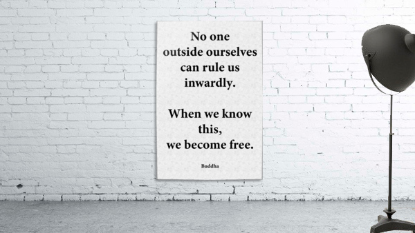 No One Wall Preview